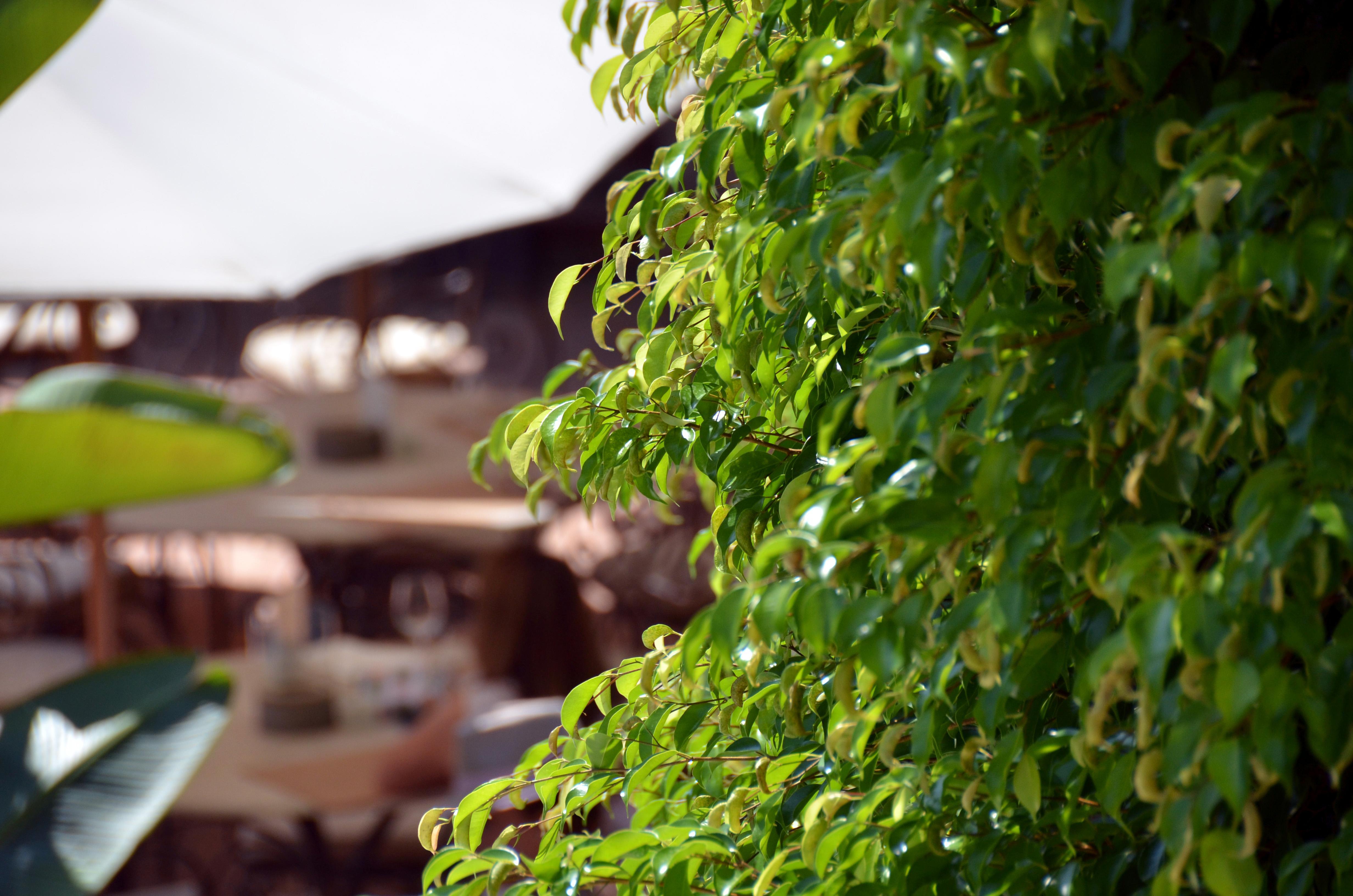 Swiss Moraira Hotel & Spa - Designed For Adults Екстер'єр фото
