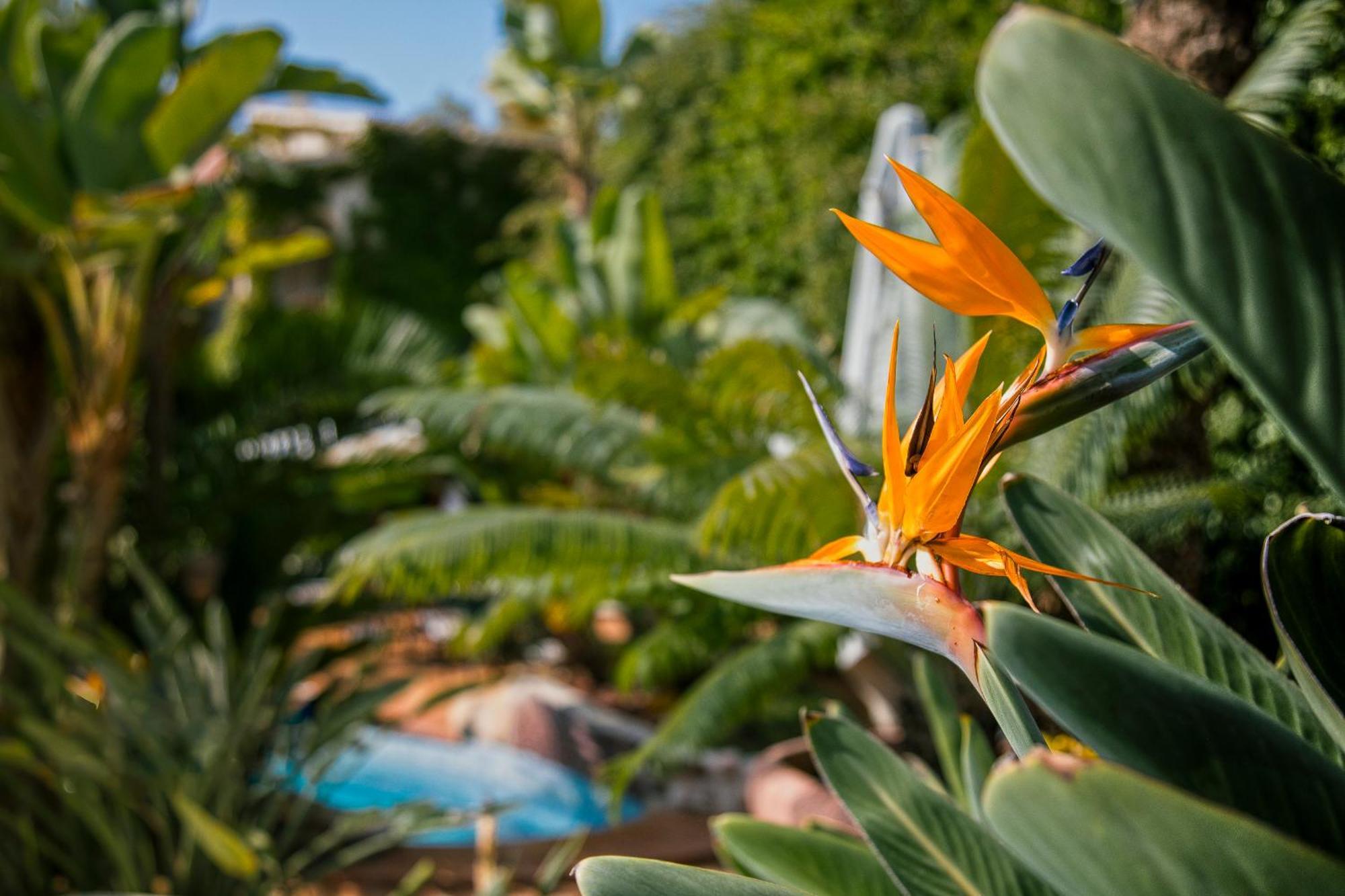 Swiss Moraira Hotel & Spa - Designed For Adults Екстер'єр фото